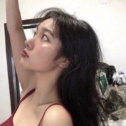 城邦建筑中文版