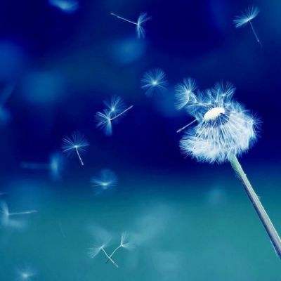 测测你的古代名字2