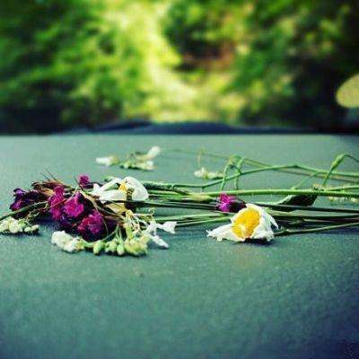 经营农场赚钱3中文版