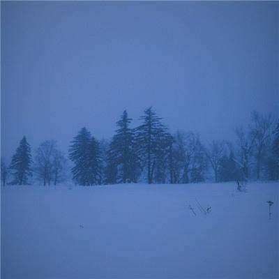 朵拉火车运水果