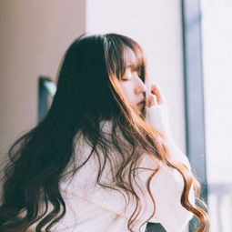 海绵宝宝武道之王