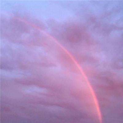 windows8.1永久禁止更新全集