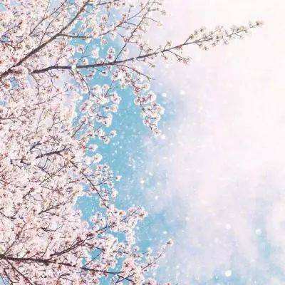 疯狂像素越野车