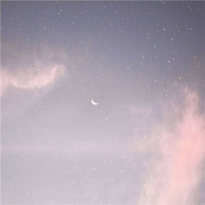 最后幸存的忍者