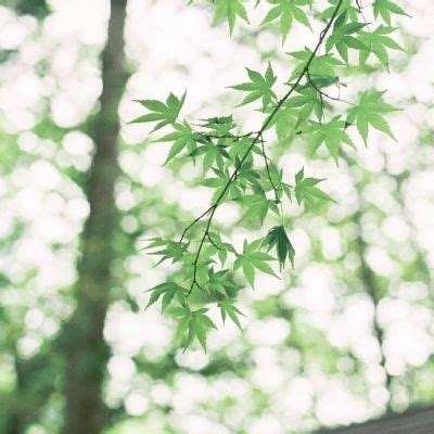 逃离医院不容易