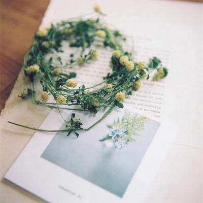 第一福利导航藏姬阁