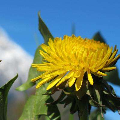 jmcomic1.7.9最新版下载安装包