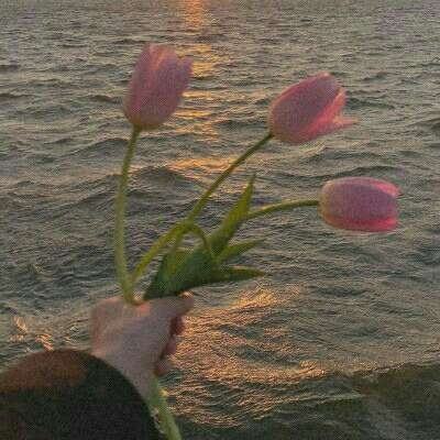 小蝌蚪蘑菇福精品利院