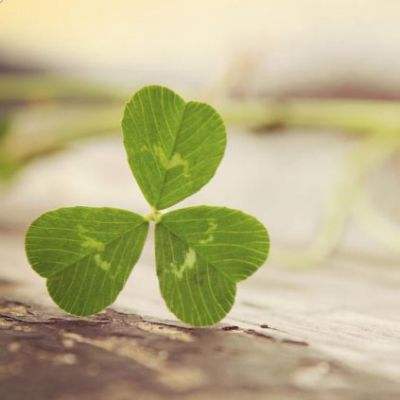 百变蜡笔小新无敌版