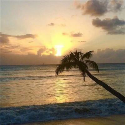 超级米拉奇战记