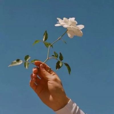 极速飞车向前冲