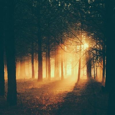 黑夜传说2进化截图