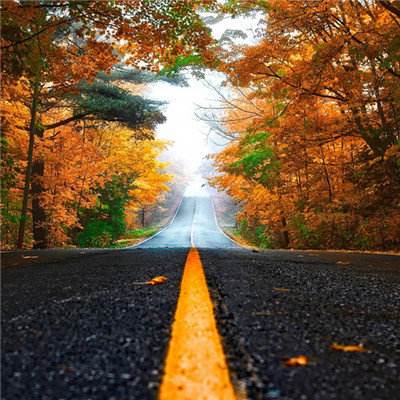 黑夜传说2进化截图