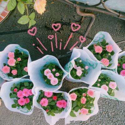 迷你F1竞速大赛