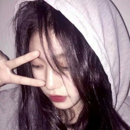 瑞典国王开轿车之障碍赛