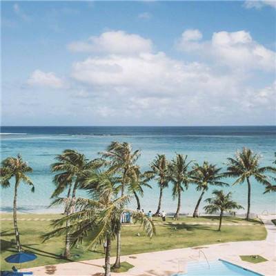 米老鼠打棒球中文版