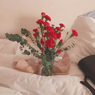 米老鼠魔法画板