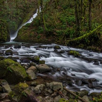 邪恶绅士★ACG邪恶天堂触手