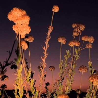 邪恶绅士★ACG邪恶天堂触手