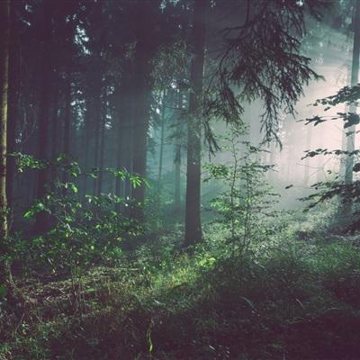 网红疑在非洲遭绑架逃生的具体情况如何