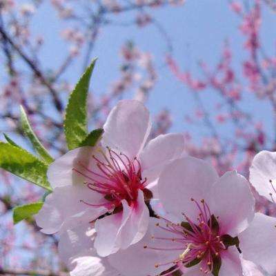 湾区品牌策划及投融资渠道研究