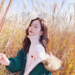 棒棒糖兄弟网球